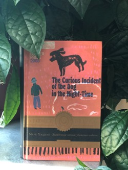 Привлечение внимания к проблеме аутизма