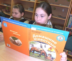 4вДень животных