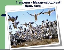 Сегодня праздник у галчат