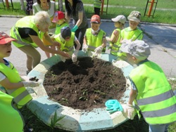 Летние забавы 3