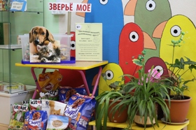 Акция Большая помощь маленькому другу