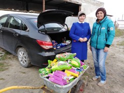 Акция ГБ 9. Привезли корм в Фонд