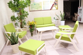 Зеленый уголок У торшера