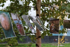 Галерея Дачный кадр