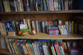 книжные полки