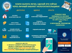 ГБ 9 использование Интернет сервисов. ФНС