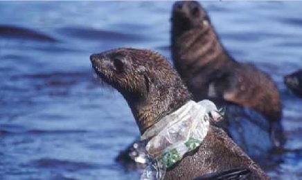 Борьба с пластиковыми материалами4