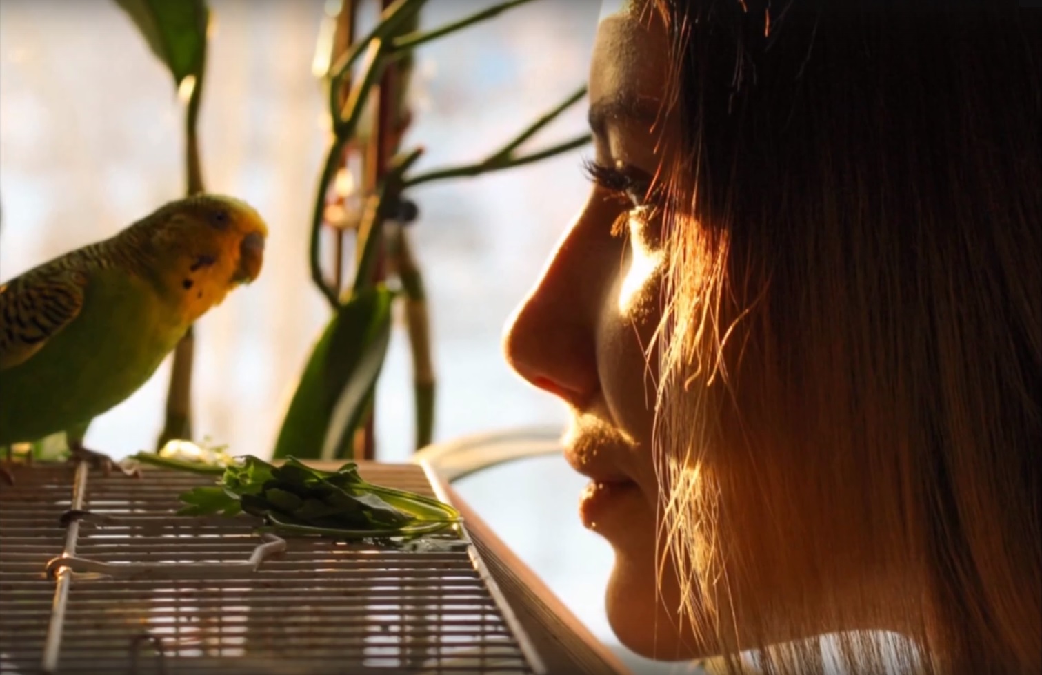 Фотовыставка Настроение