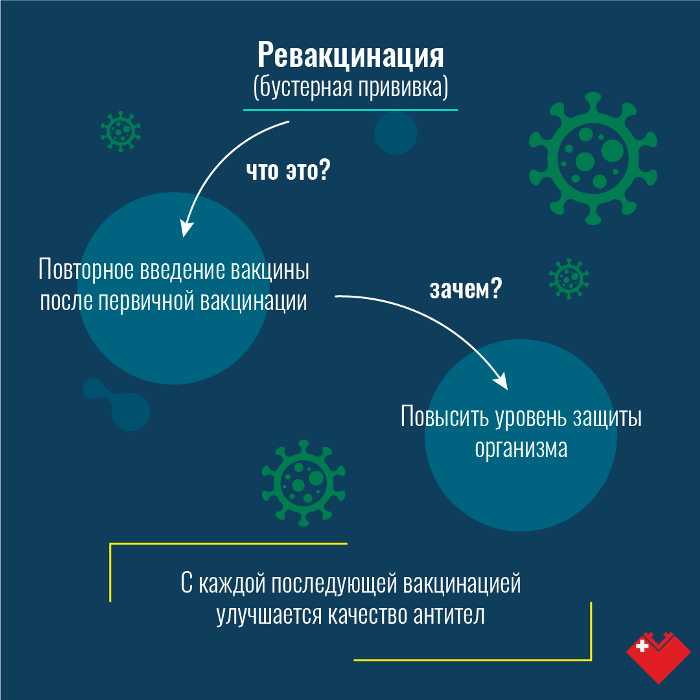 Ревакцинация