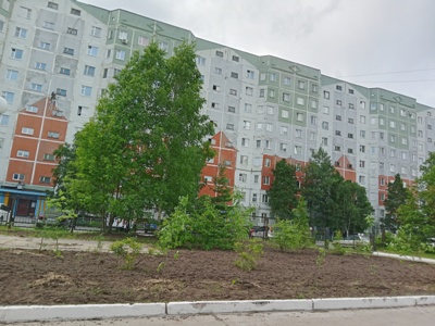 Литературный сквер становится зеленее