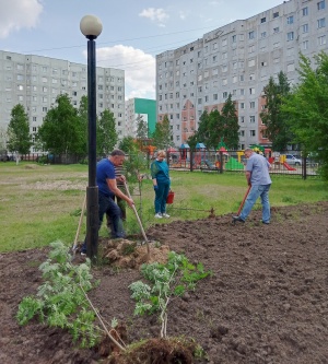 Литературный сквер становится зеленее
