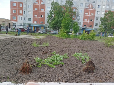 Литературный сквер становится зеленее