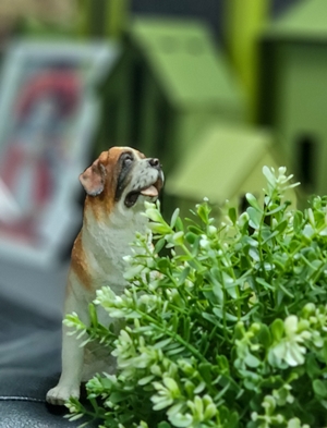 фоторабота