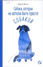 Новые книги