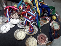 Многочисленные награды