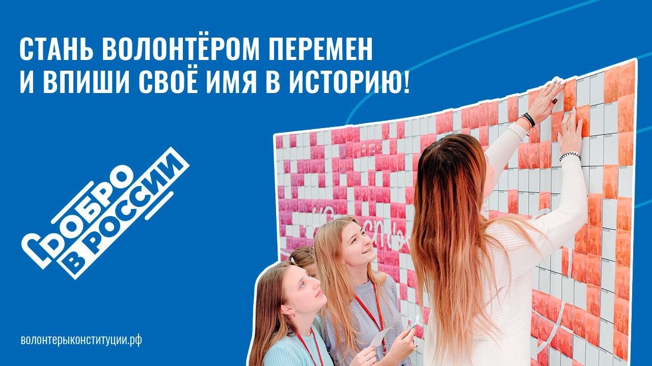 волонтеры конституции